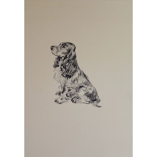Lucy dawson dog - dawson,